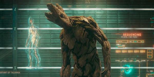 Groot